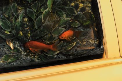 Golden Fishes Car, 2010